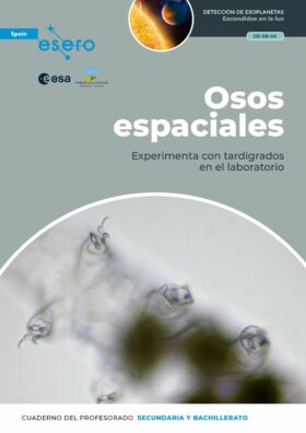 Osos espaciales